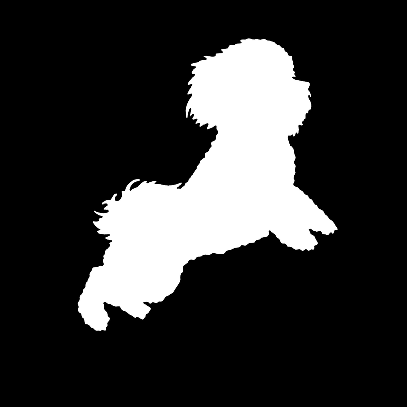 Bichon decal - Dogs Make Me Happy