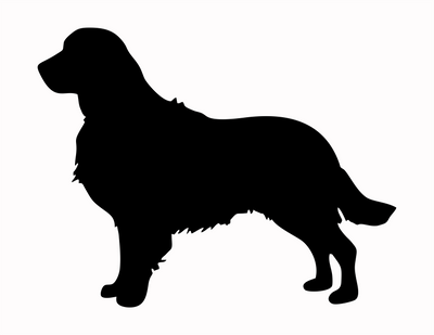 Golden Retriever Decal