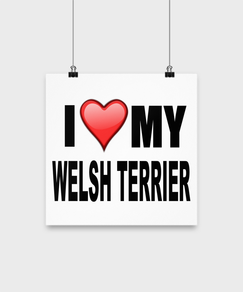 I Love My Welsh Terrier -Poster - Dogs Make Me Happy - 2